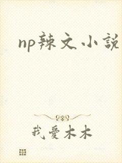 np辣文小说