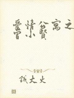 爱情公寓之极品曾小贤