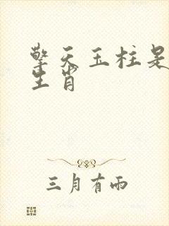 擎天玉柱是什么生肖