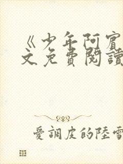 《少年阿宾》全文免费阅读封面
