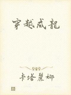 穿越成龙封面
