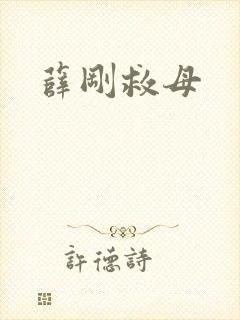 薛刚救母