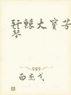 轩辕大宝芳菲雅琴