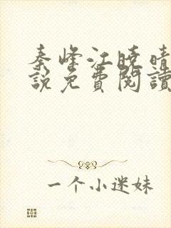 秦峰江晓晴的小说免费阅读