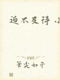 迫不及待 小穴