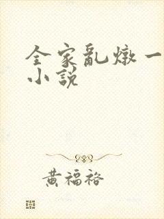 全家乱炖一锅烩小说封面