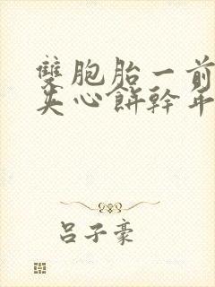 双胞胎一前一后夹心饼干年下封面
