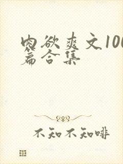 肉欲爽文100篇合集封面