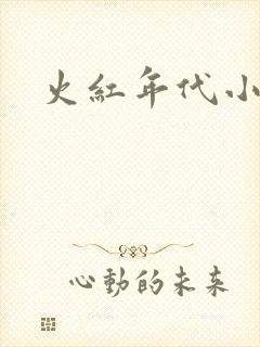 火红年代小说