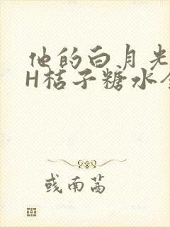他的白月光HVH桔子糖水全文