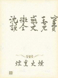 沈微燕王穿越小说全文免费阅读