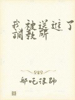 我被送进了私奴调教所
