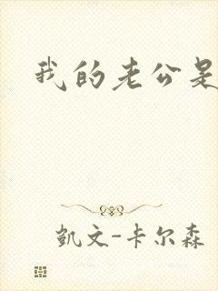 我的老公是军阀
