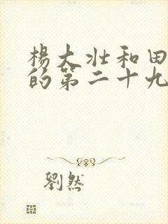 杨大壮和田桂花的第二十九