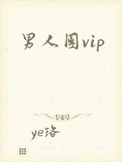 男人团vip