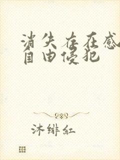 消失存在感消失自由侵犯封面