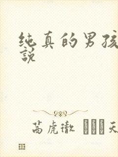纯真的男孩子小说