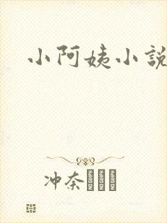 小阿姨小说