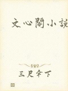 文心阁小说