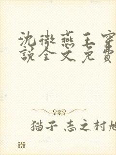 沈微燕王穿越小说全文免费阅读