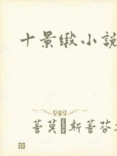十景缎小说
