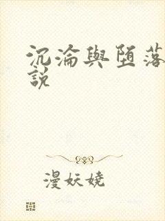 沉沦与堕落的小说