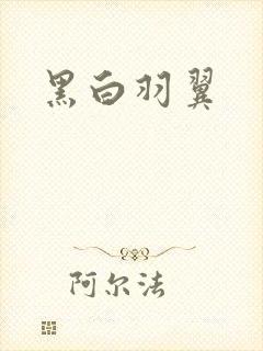 黑白羽翼
