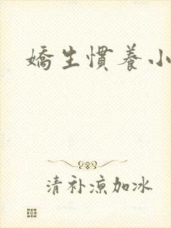 娇生惯养小说