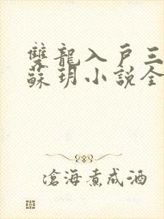 双龙入户三人行苏玥小说全文阅读