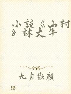 小说《山村情事》林大牛封面