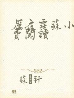 厉夜霆苏小汐免费阅读封面