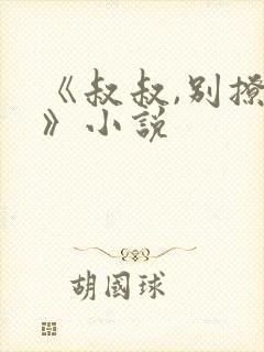 《叔叔,别撩我》小说