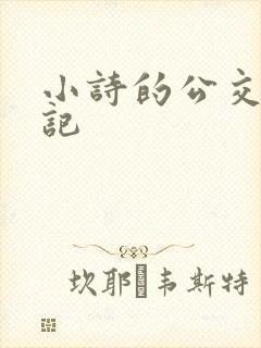 小诗的公交车日记