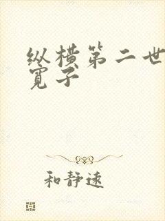 纵横第二世界 宽子