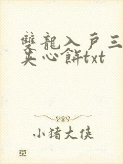 双龙入户三人行夹心饼txt