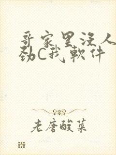 哥家里没人使点劲C我软件