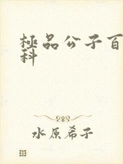 极品公子百度百科