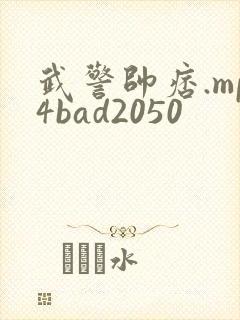武警帅痞.mp4bad2050