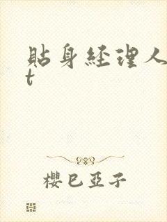 贴身经理人txt