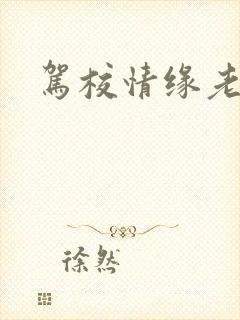 驾校情缘老赵