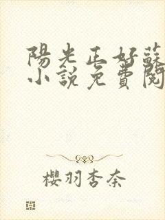 阳光正好苏玥玥小说免费阅读无弹窗