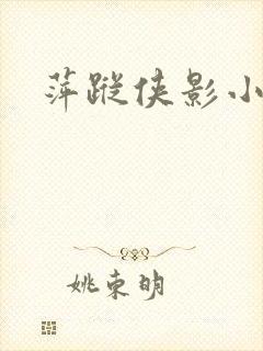 萍踪侠影小说
