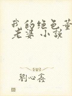我的绝色董事长老婆 小说