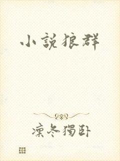 小说狼群