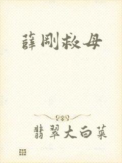 薛刚救母