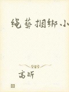 绳艺捆绑小说封面