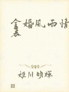 金婚风雨情演员表封面