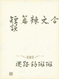 短篇辣文合集小说