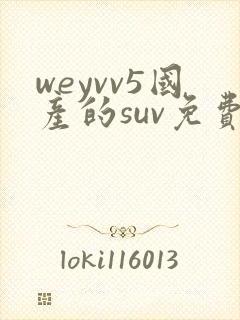 weyvv5国产的suv免费