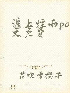 沪上烟雨po全文免费封面